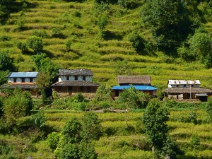 Little boxes